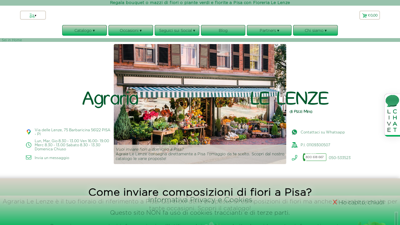i fiori di mamussi pisa